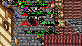 Shadow of Swords on screen