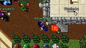 Shard Viz on screen