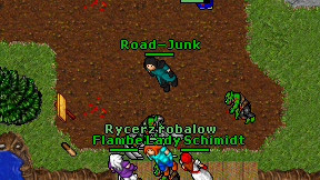 Road-Junk on screen