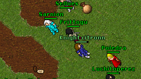 Sellues on screen