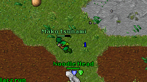 Mako tsunami on screen