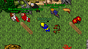 Biddzor on screen