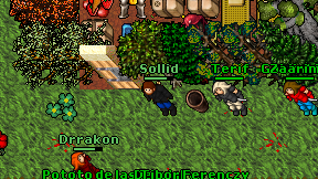 Sollid on screen