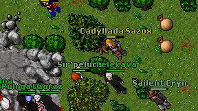 Cadyllada Sazox on screen
