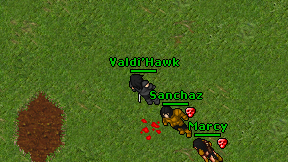 Valdi'Hawk on screen