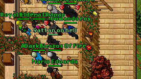 Comando roy on screen