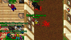 Kenit Amora on screen