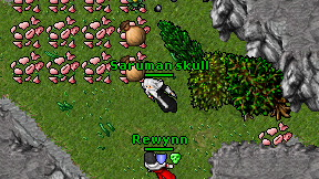 Saruman skull on screen
