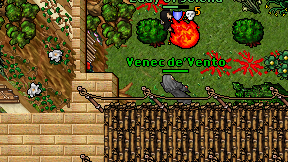 Venec de'Vento on screen