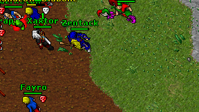 Zentack on screen