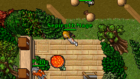 Sepiroth Mage on screen