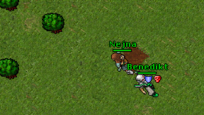 Nejna on screen