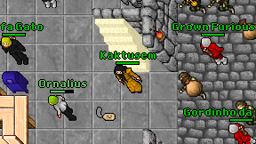 Kaktusem on screen