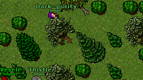Dark-purity on screen