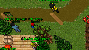 Phytto on screen