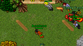Roolezo on screen