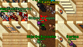 Skiper dragon on screen