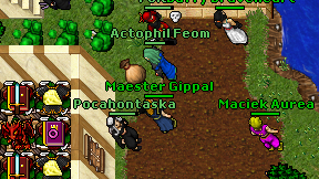 Maester Gippal on screen