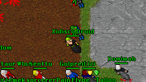 Xidisco Druid on screen
