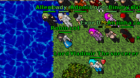 Robin cot on screen
