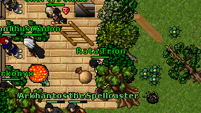 Rata Trion on screen