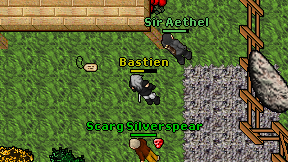 Bastien on screen
