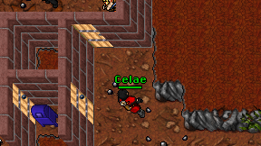 Celae on screen