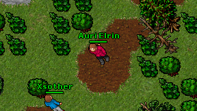 Auri Elrin on screen