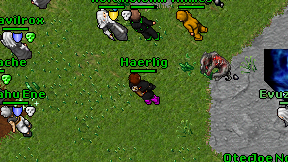 Haerlig on screen