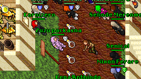 Zuzu packasna on screen