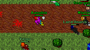 Aanubis on screen