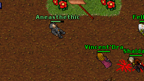 Aneasthethic on screen