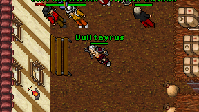 Bull tayrus on screen