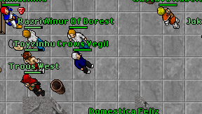 Crows Vegil on screen