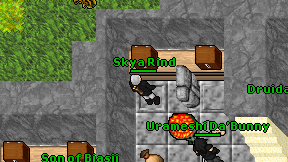 Skya Rind on screen
