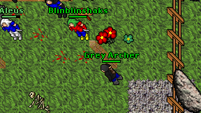 Grey Archer on screen