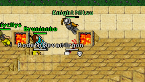 Nirgon on screen