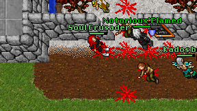 Soul Crusader on screen