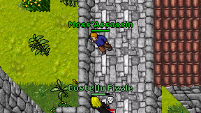 Moss'Assassin on screen