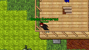 Dudu Geverus on screen