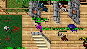 Basiuna on screen