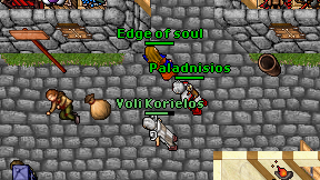 Paladnisios on screen