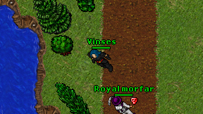 Vinses on screen