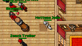 Nottuno Jolly on screen