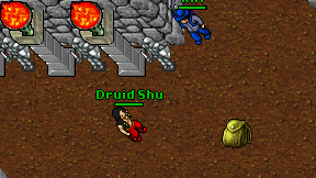 Druid Shu on screen