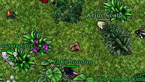 Yoki Moodon on screen