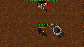 Hwel on screen