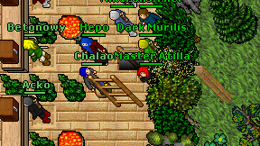 Master Atilla on screen