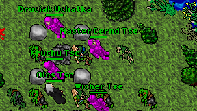 Master Cernd Tse on screen