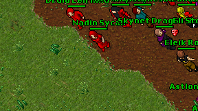 Nadin Sycan on screen